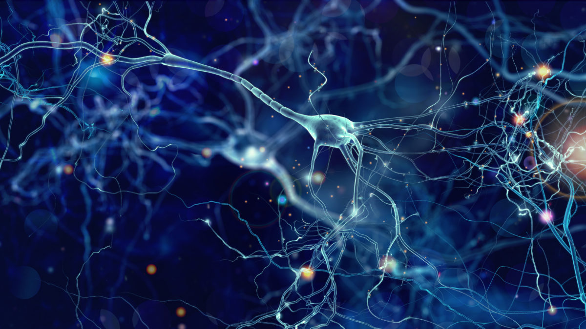 neuroradiologie