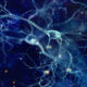 neuroradiologie