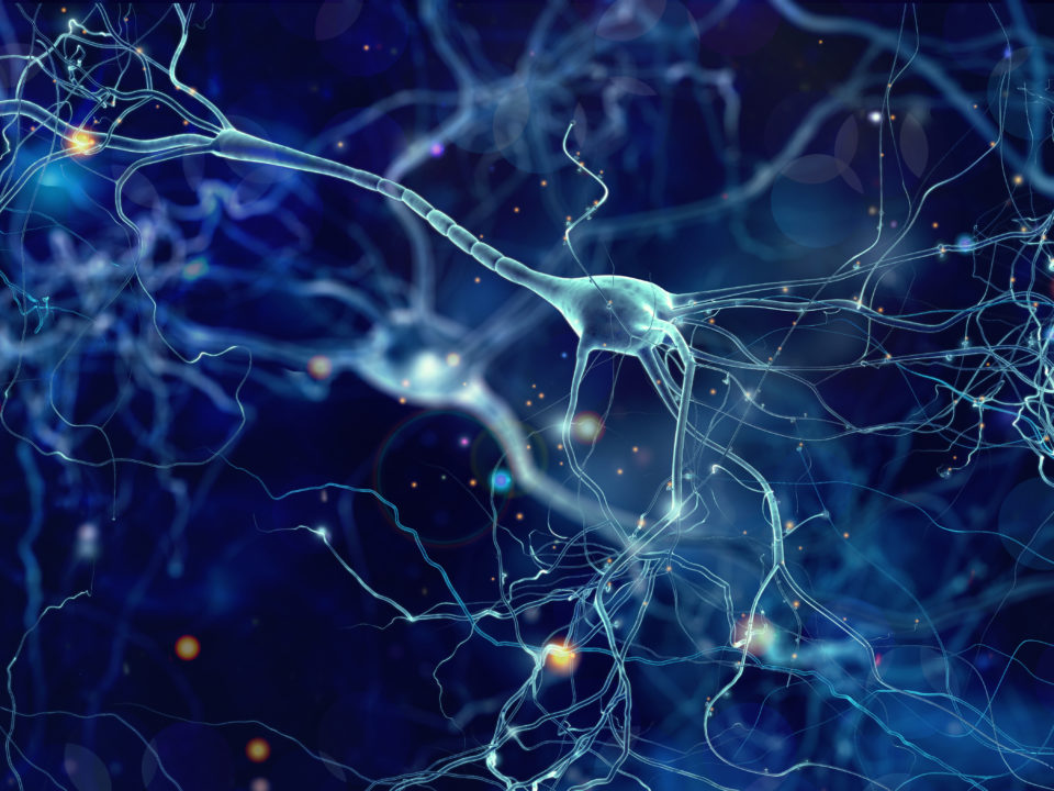 neuroradiologie